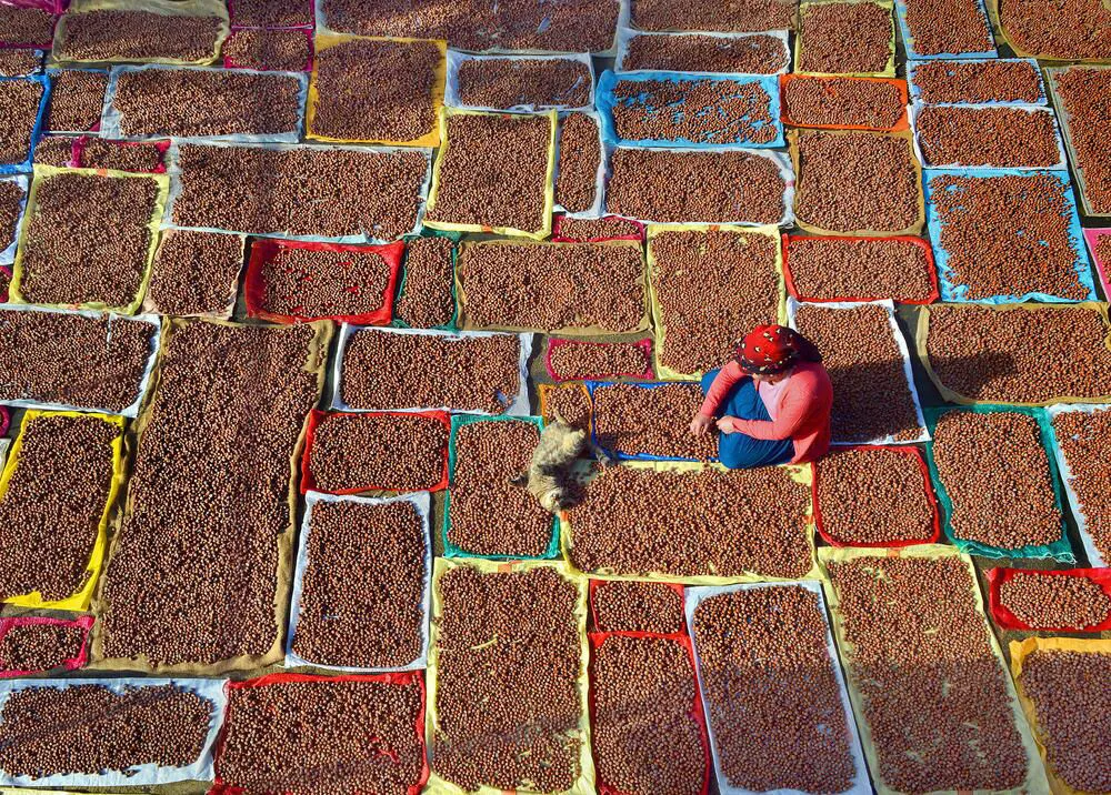 F I N D I K H A S A D I N D A G I Z L I T E H L I K E T O Z A L E R 878911 259941.Jpg