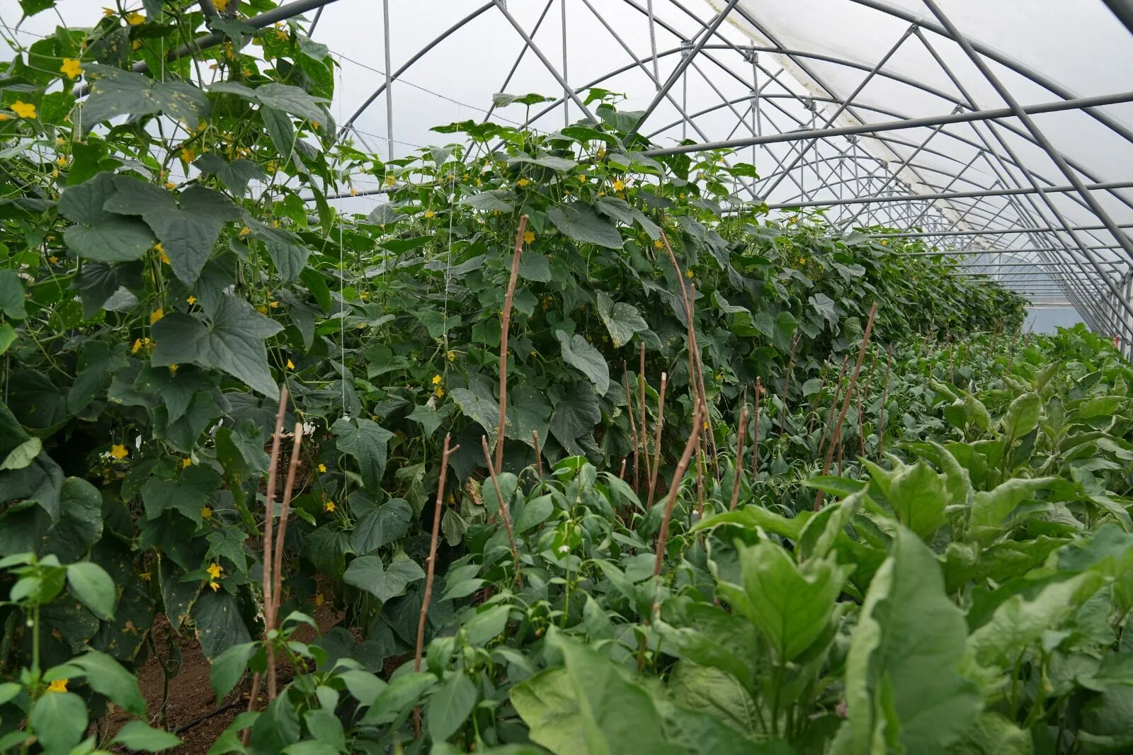 Whatsapp Image 2025 08 28 At 112151 1.Jpeg