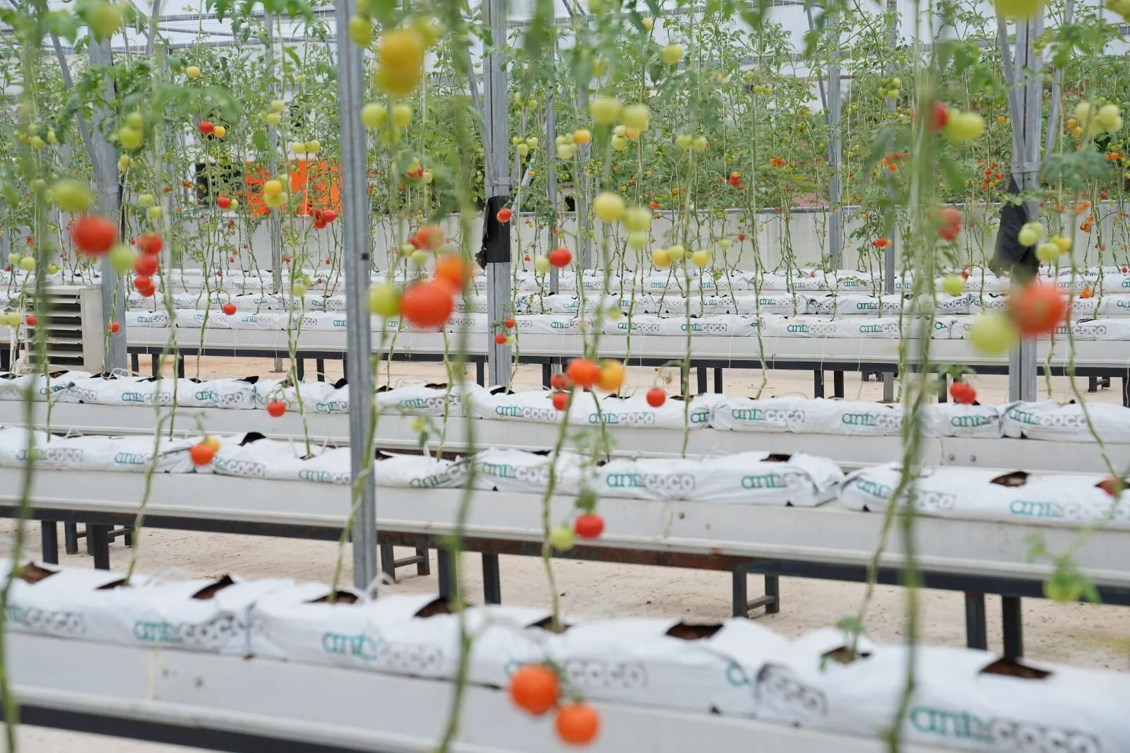 Whatsapp Image 2025 08 28 At 112151.Jpeg