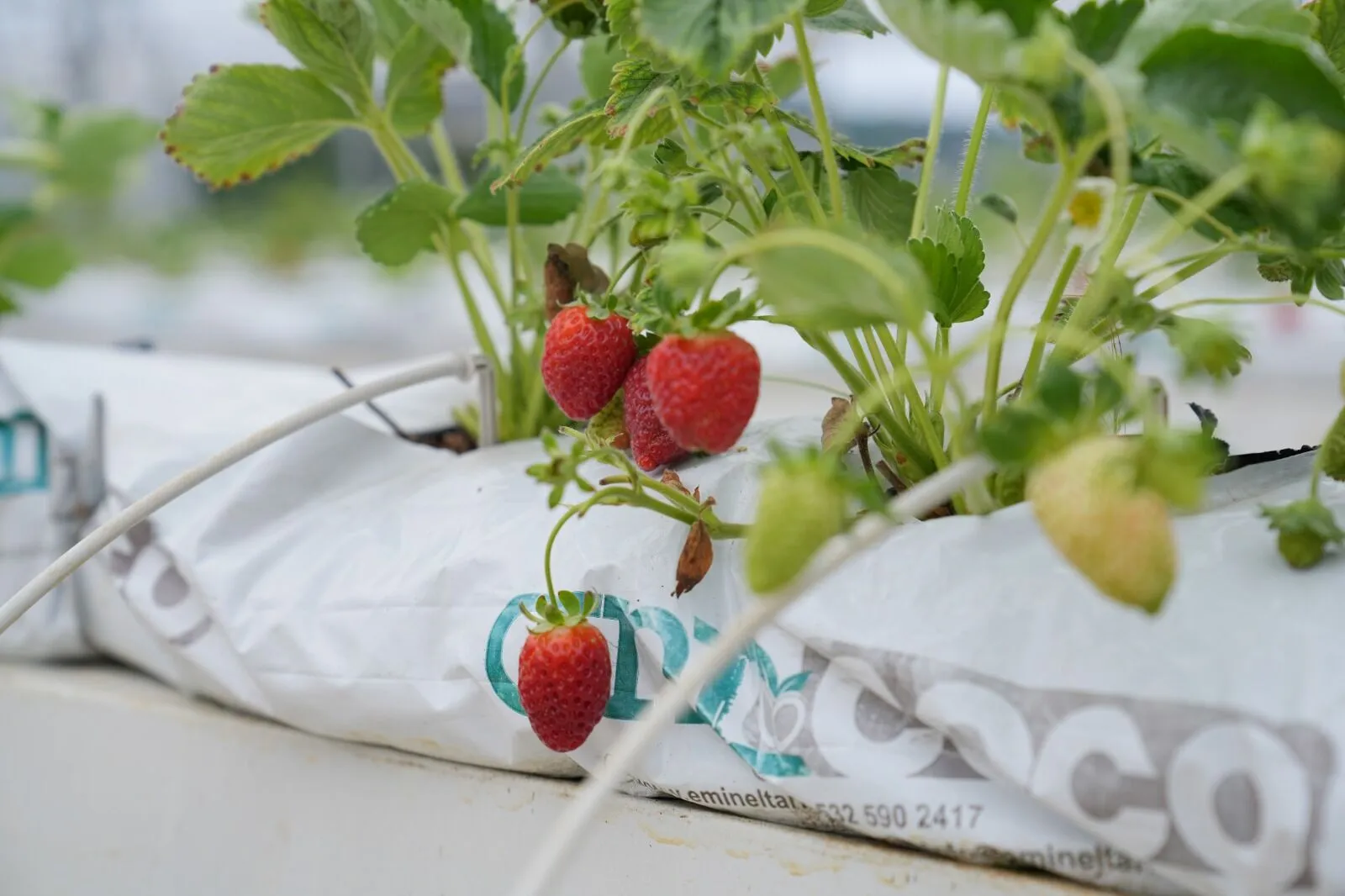 Whatsapp Image 2025 08 28 At 112152.Jpeg