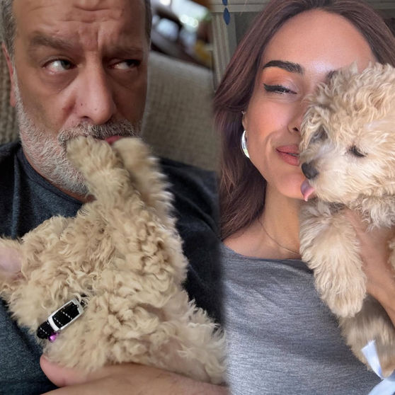 3825007 F8F35596607B30A050F9D098Bf6021B7