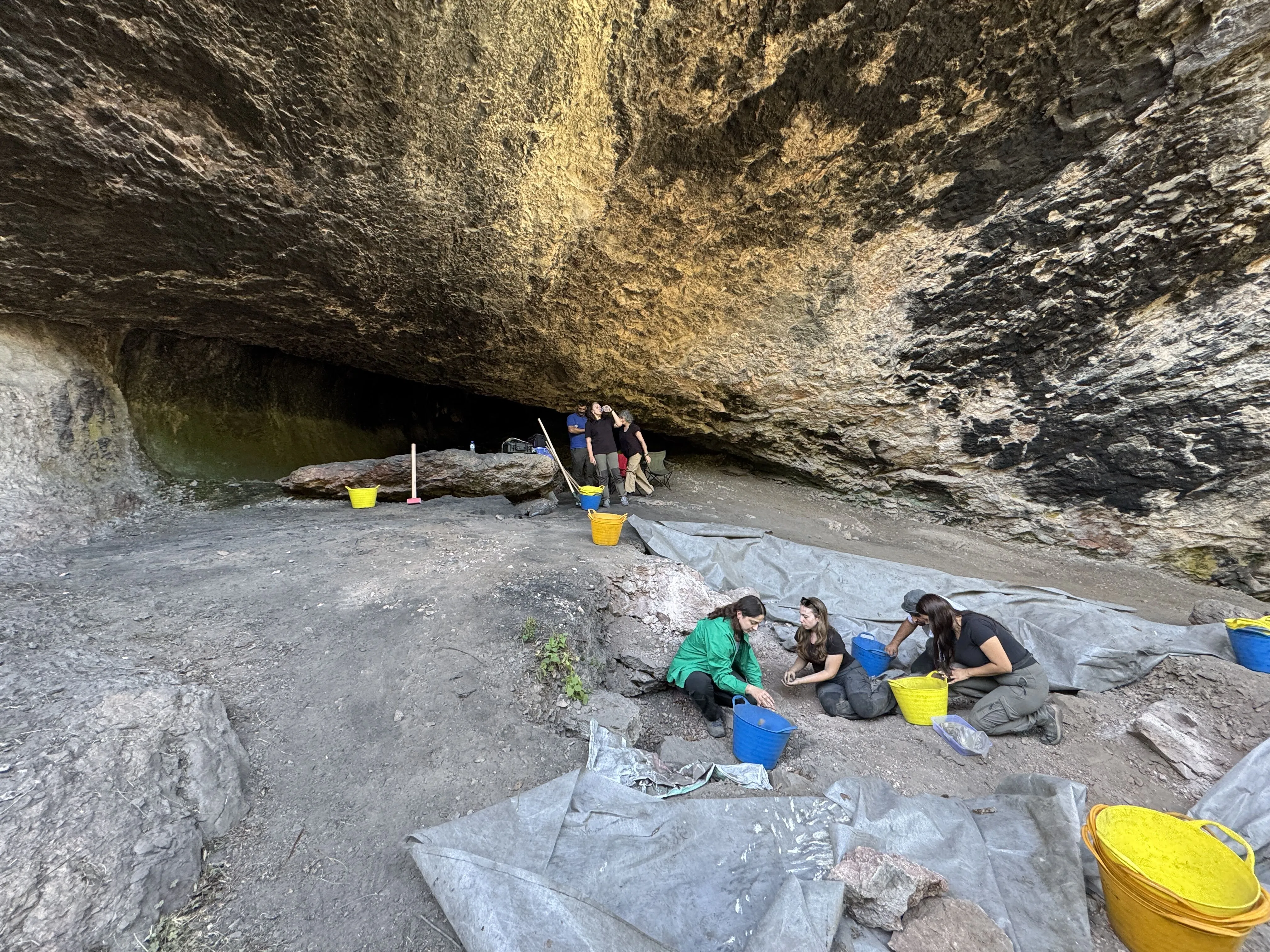 A A 20250906 39033439 39033429 T R A B Z O N D A K I K A Z I L A R D A U L A S I L A N Y A K L A S I K 14 B I N Y I L L I K B U L G U L A R M U Z E D E S E R G I L E N M E Y E B A S L A D I.jpg