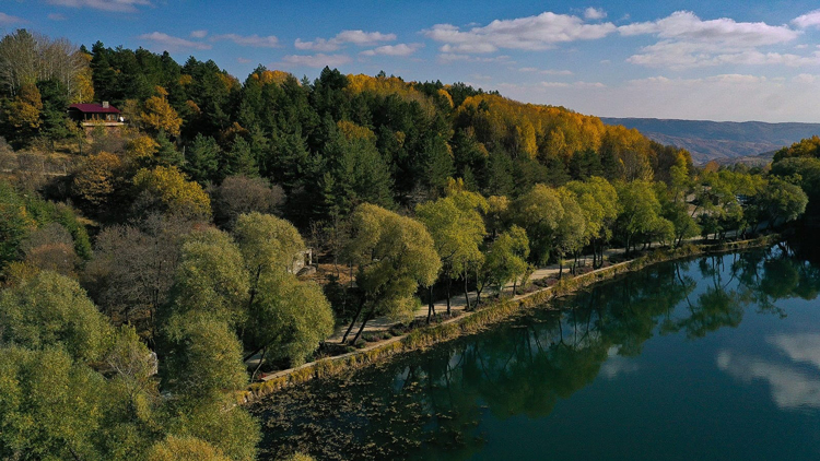 125496914 3658789274170420 1213538110744585330 O 1