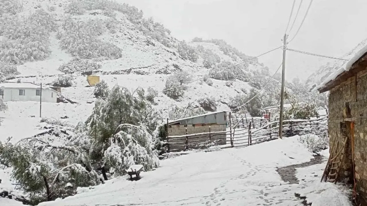 343743086 1764790790