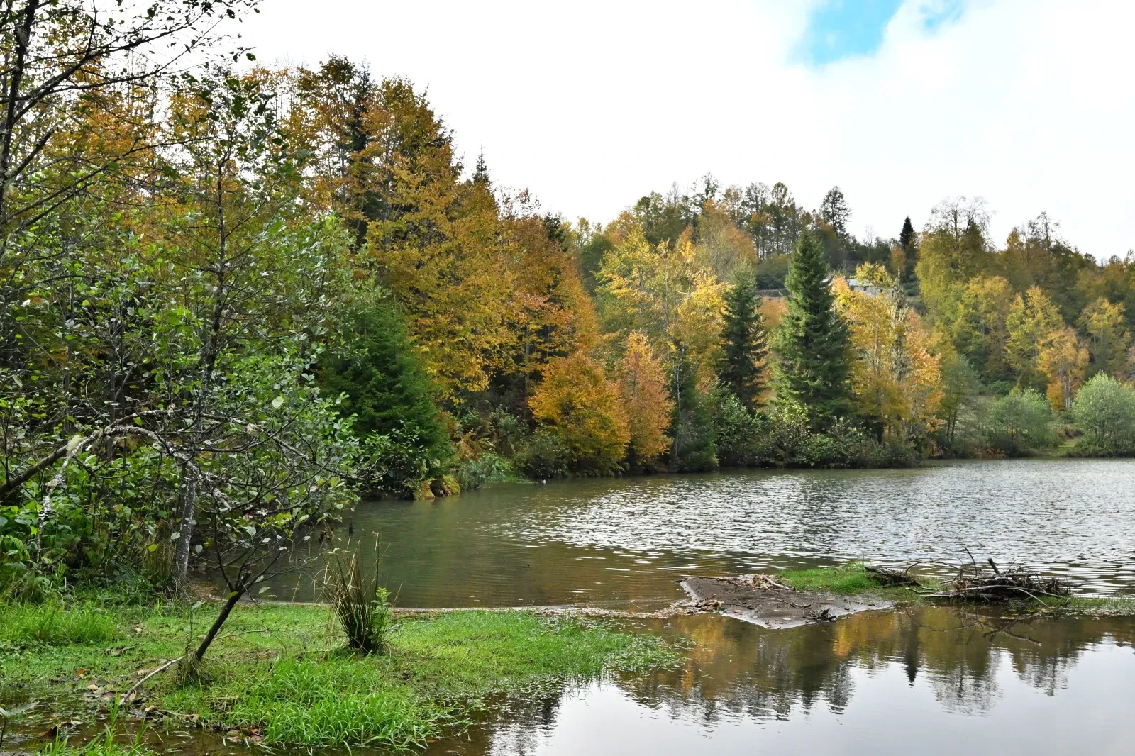 345428227 1761120619