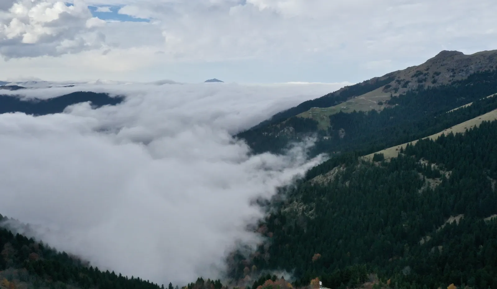 346194463 1762592357