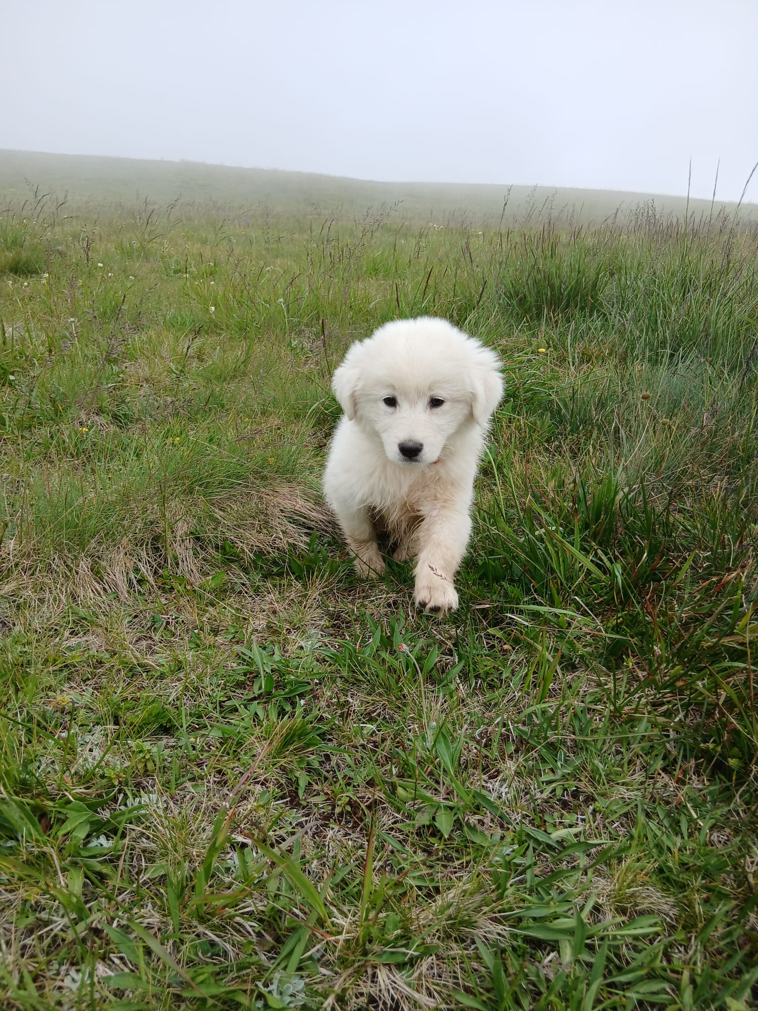 576982F4 Ee82 4308 B210 98957Af1Ef61