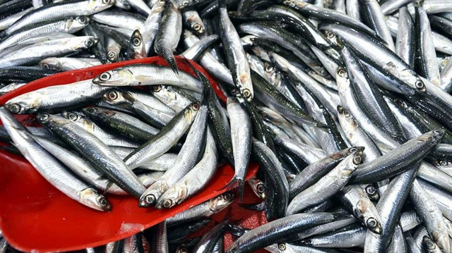 5F79F453 Ayx0I9I6333By2X719Ia3