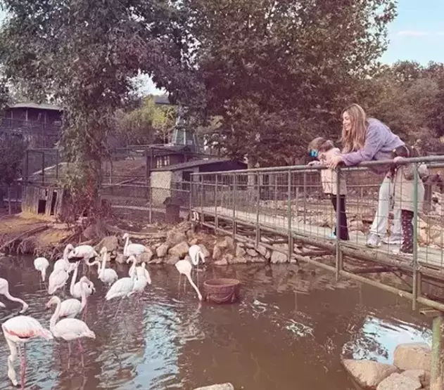 68Ede6Ef39465790Ca54555A