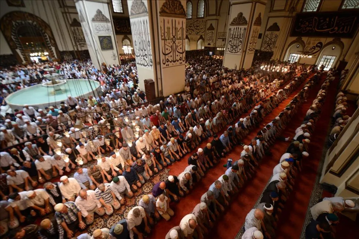 68Efcc77Efd4E896 W1200Xh799