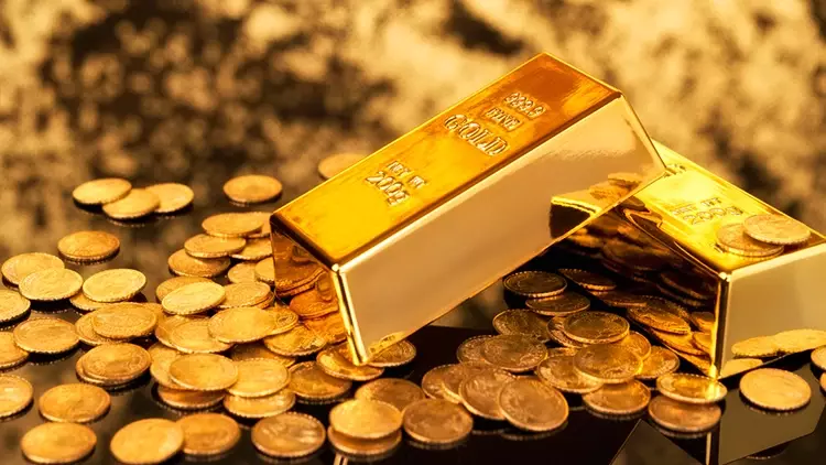 68Fb1E369844E7D2D0F3431E-1