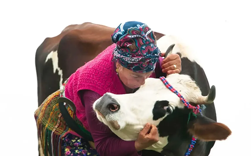 732194F2 Uyla9H1X9Qrdgu6Vm755H