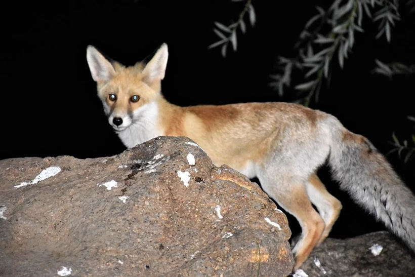 Aa 20230918 32181758 32181751 Ac Ka Yb N G