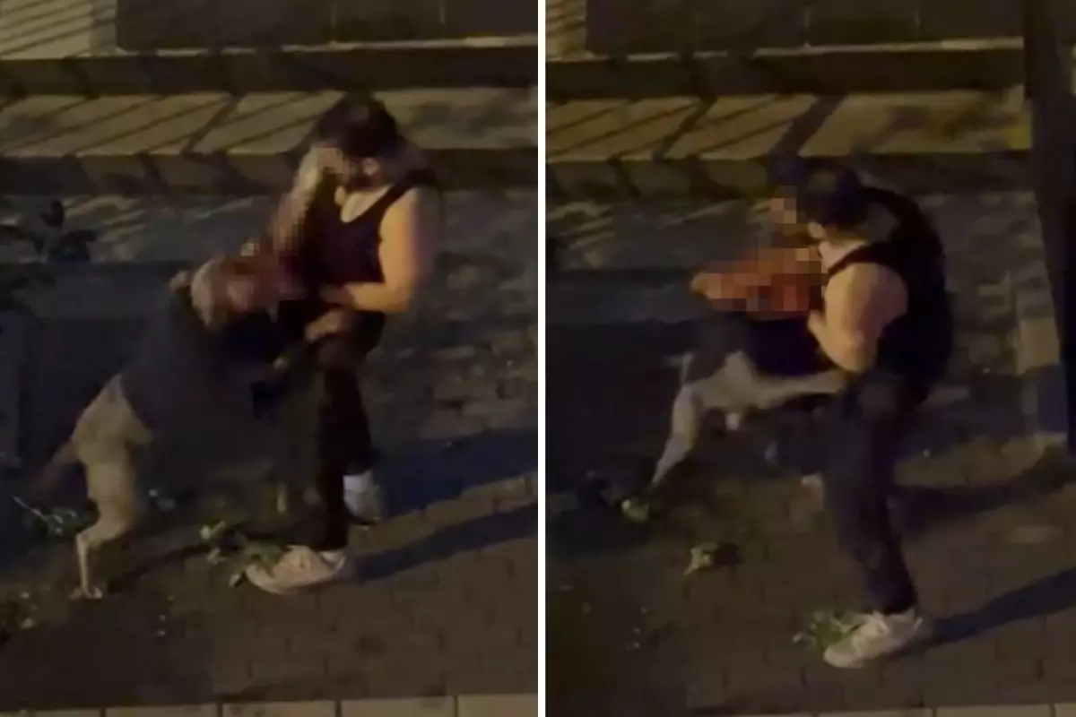 Bahcelievler De Pitbull Cinsi Kopek Sahibine 19141114 6280 Amp