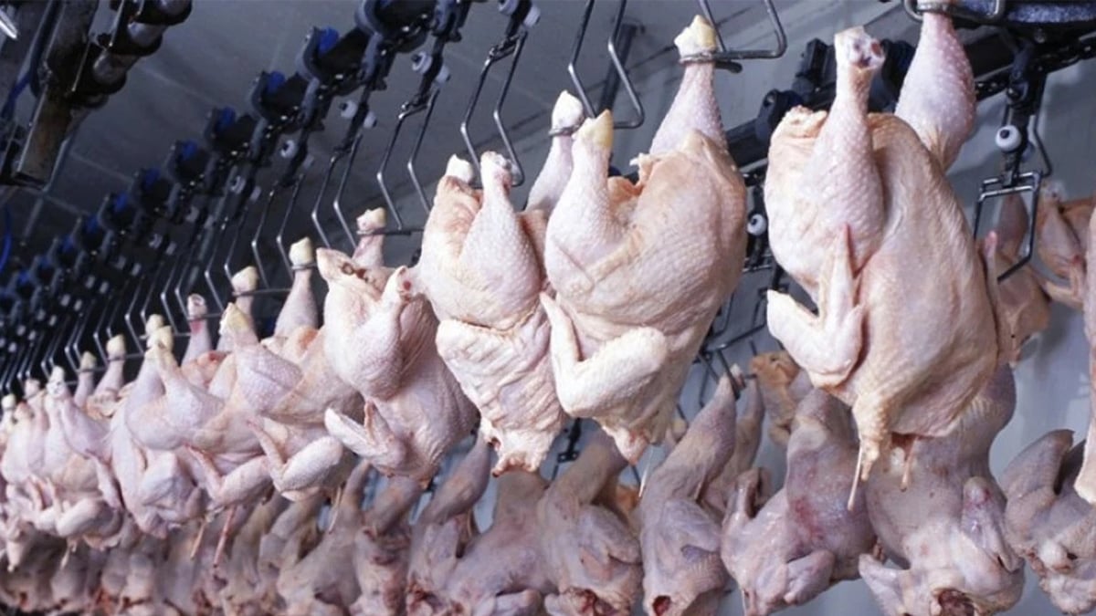 Basliksiz 7 Kurtarildi Kurtarildi Kurtarildi Kurtarildi Kurtarildi Kurtarildi Kurtarildi 1761574516