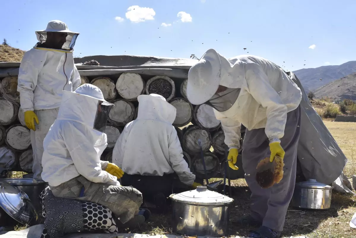 Bitlis Te Kara Kovan Balinin Hasadi Basladi 10 19157382 Amp