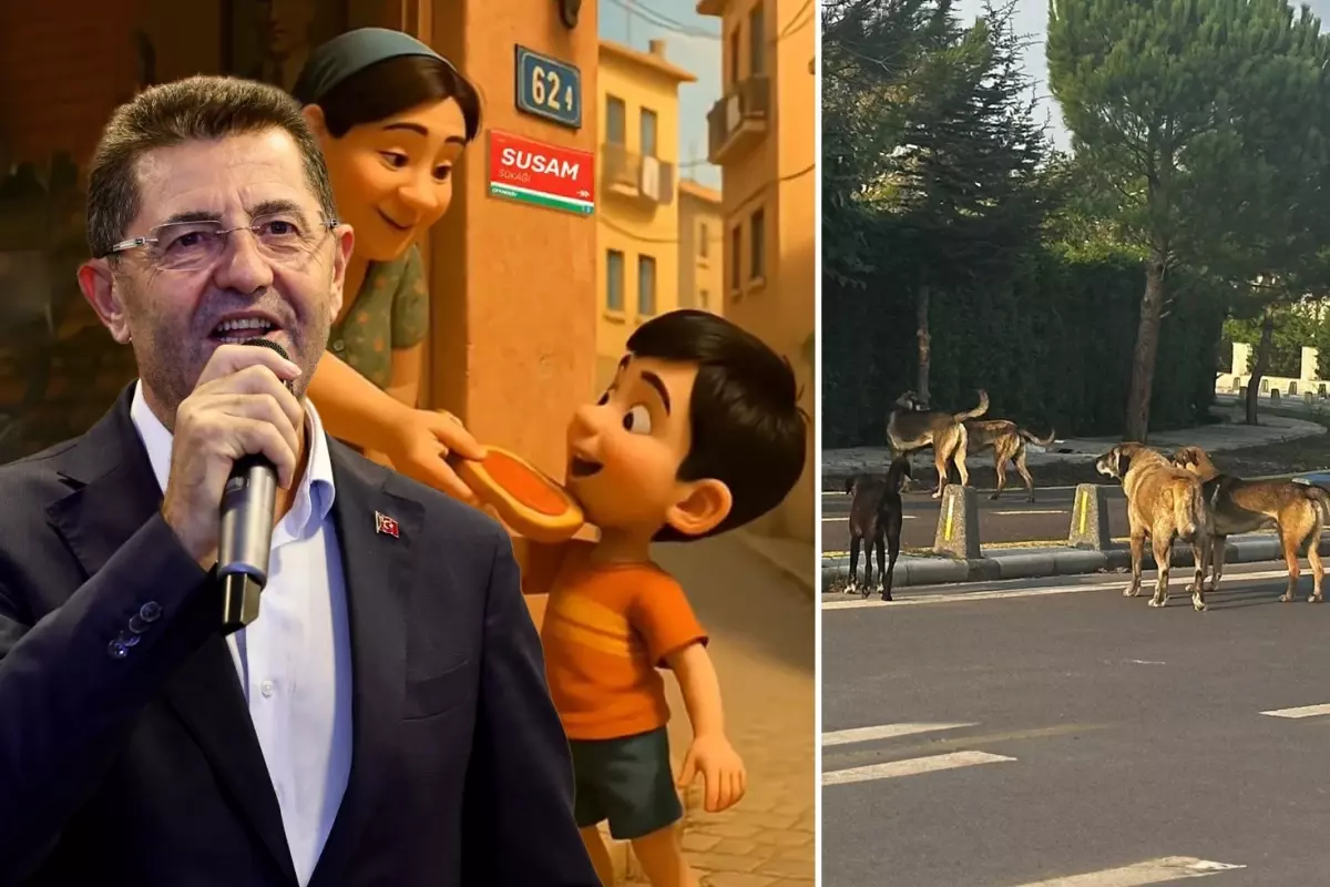 Cekmekoy Belediyesi Nin Duyarsizligi Ilce Halkini 19181278 3358 Amp