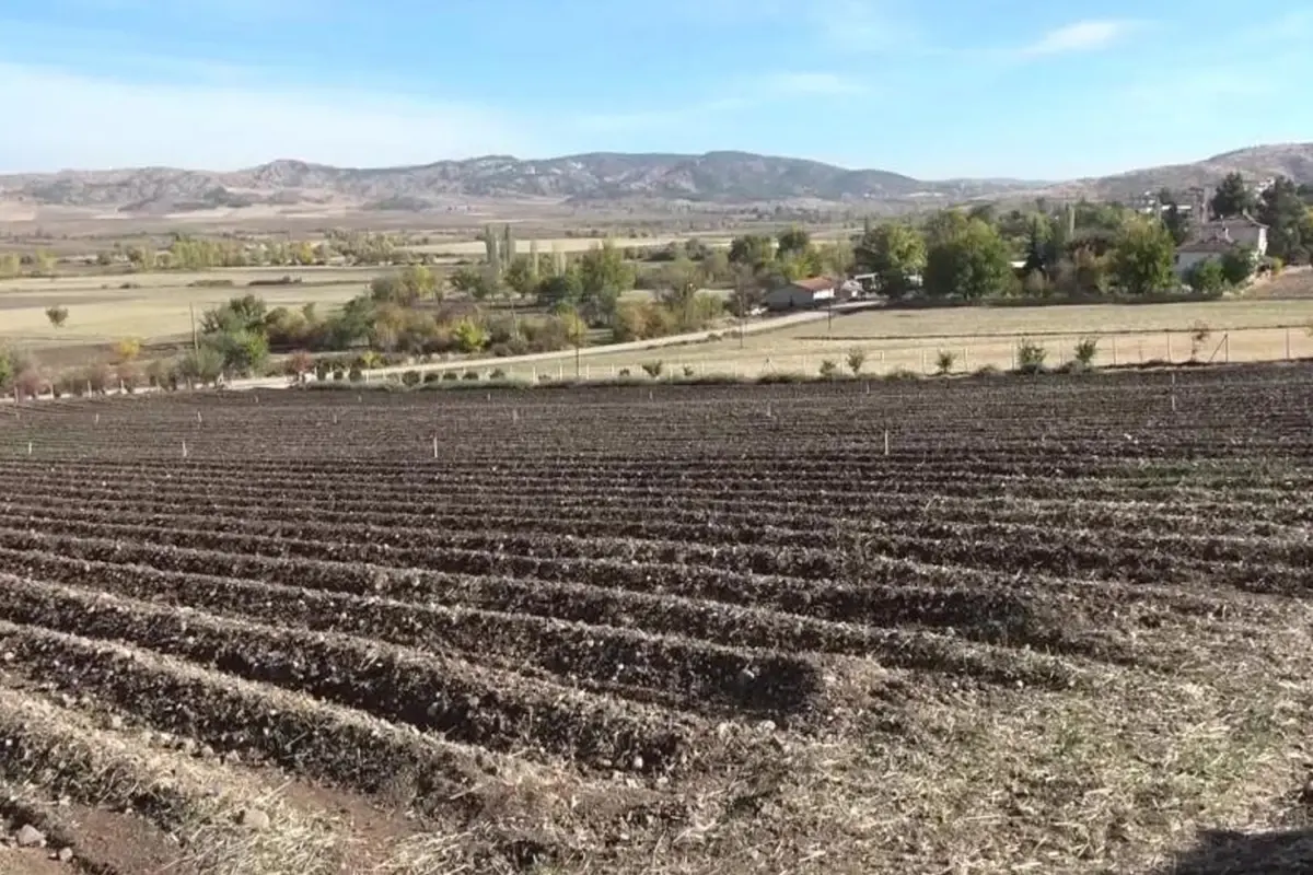 Dunyanin En Pahalisi 1 Grami 500 Tl Ye Satiliyor 19193223 1020 Amp