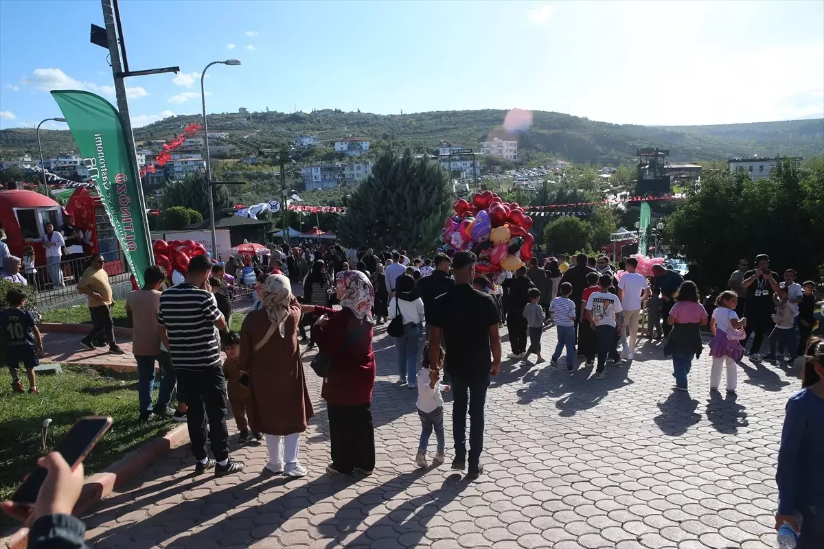 Hatay Da 9 Zeytin Zeytinyagi Ve Gastronomi 19188522 Amp