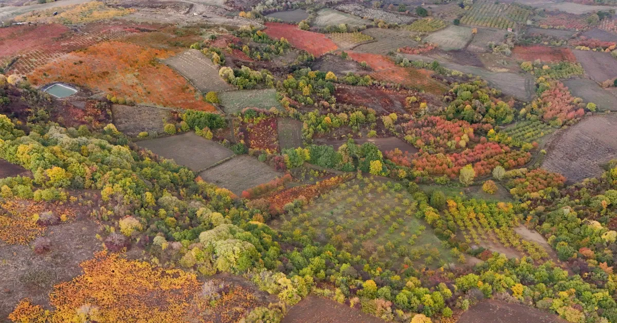 Inegolde Sonbahar Buyuledi Saban Kilicci Goruntuledi 31