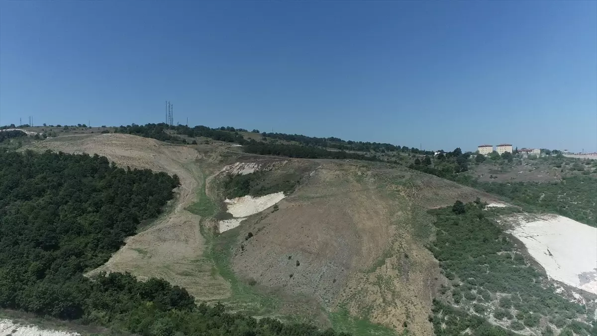 Kandira Da 60 Donumluk Alana 4 Bin 500 Fidan 19187329 Amp