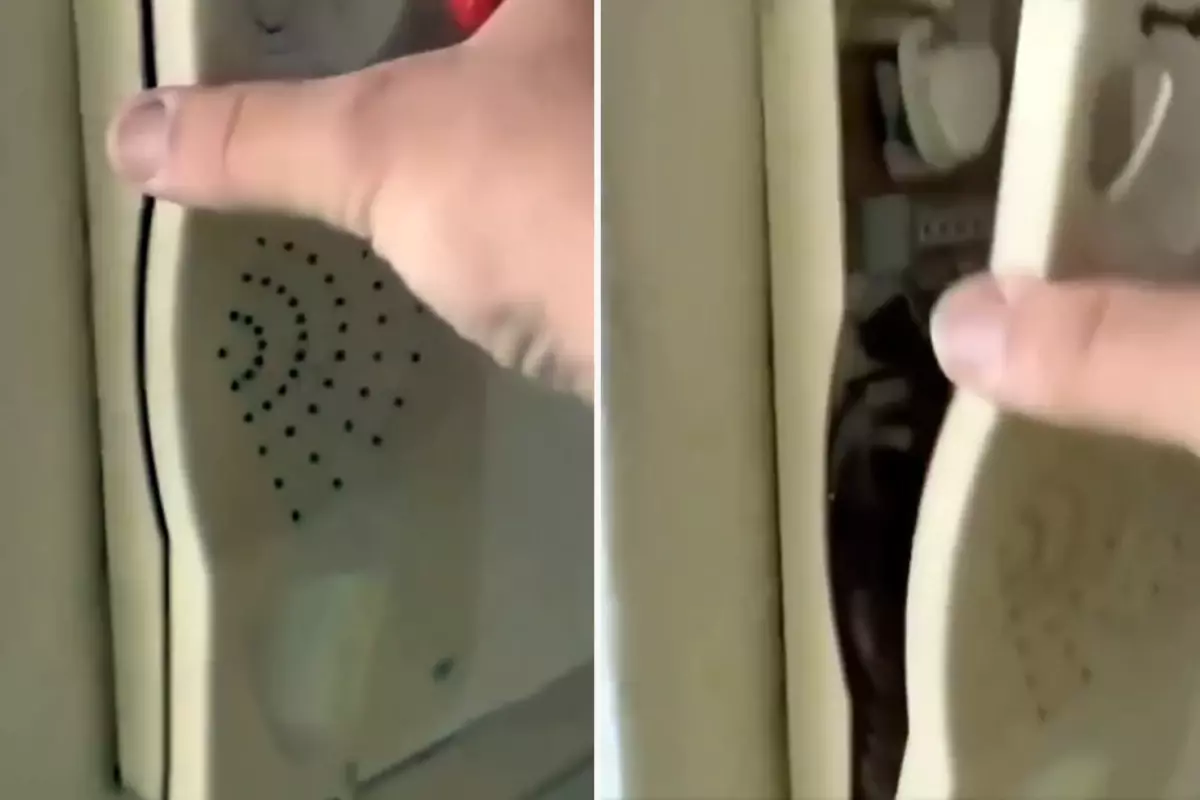 Kapi Zilini Soktu Gordukleri Karsisinda Kucuk 19179887 3938 Amp