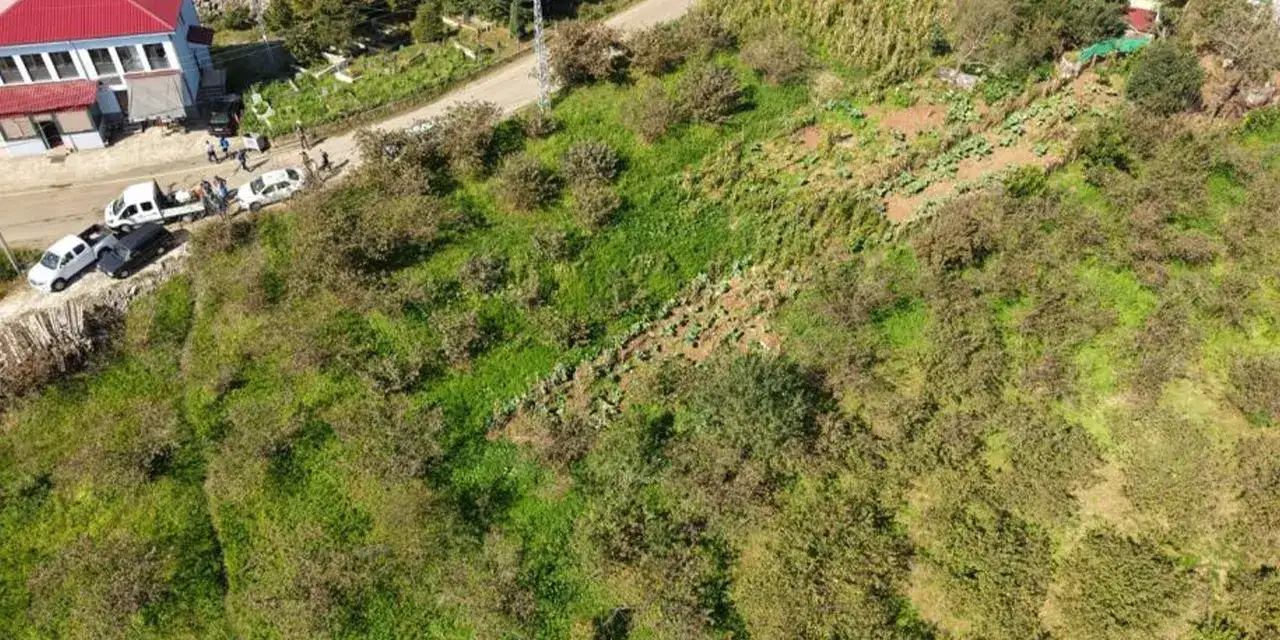 Koklarca Bocegi 001