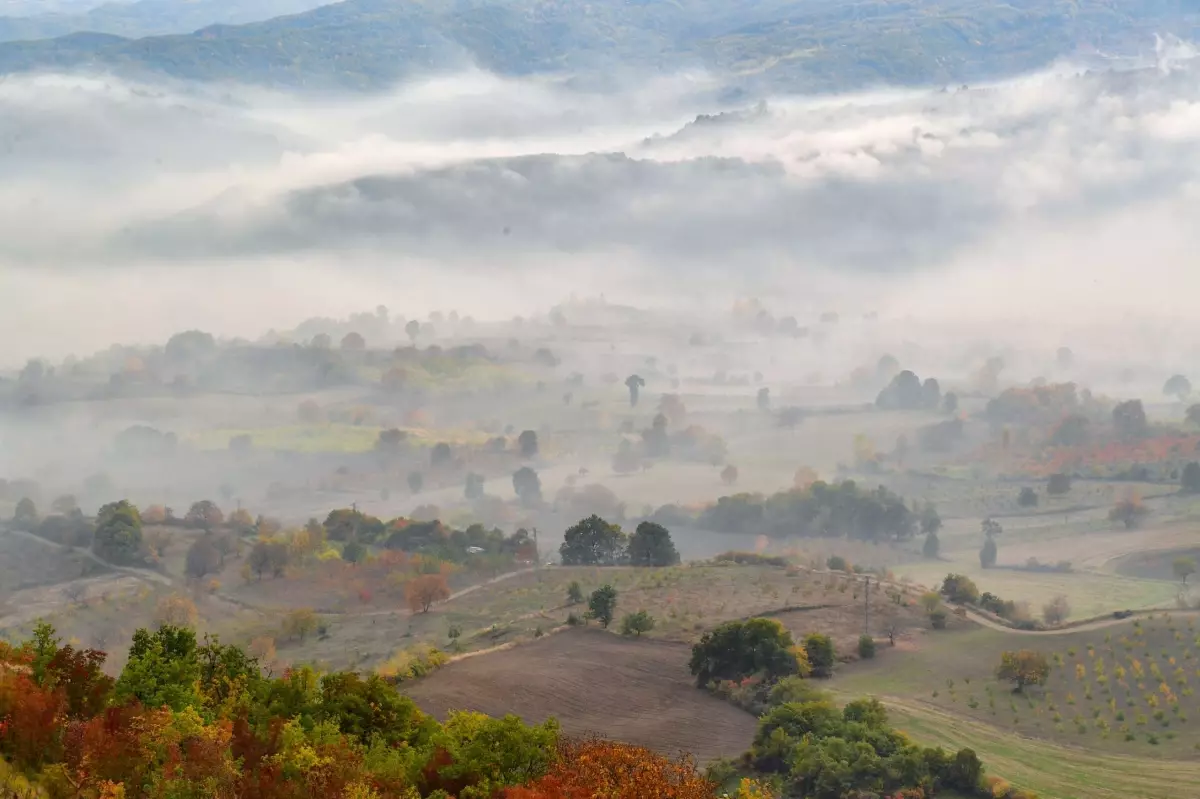 Sisle Kaplanan Uludag In Eteklerinde Sonbahar 19184620 Amp