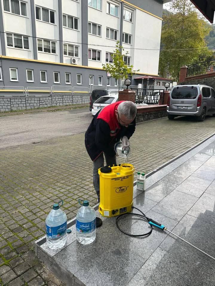 Trabzonda Kahverengi Kokarcaya Karsi Ucretsiz Mucadele 3