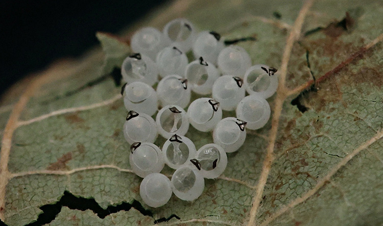 009 2023 03 2023 28 Ekim 27 20231004 2 60532634 93330263-1