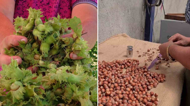 0677B098 2Caz8Wnz0Ehj75Sdqacdh9