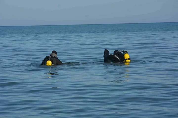 135Ca7Cc B714B126 F8F0 4Dfd 9964 E5B25B8B0198