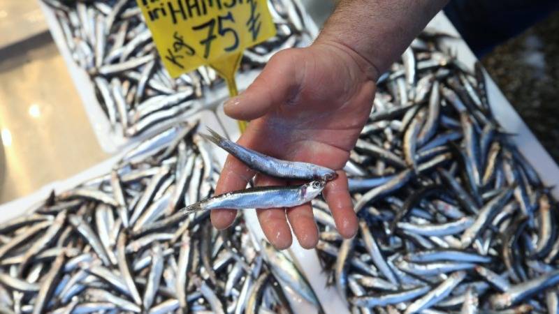 1675596328689 My Project 14