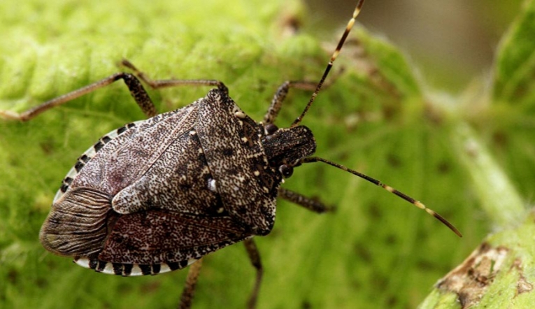 200495576260052 Img-1