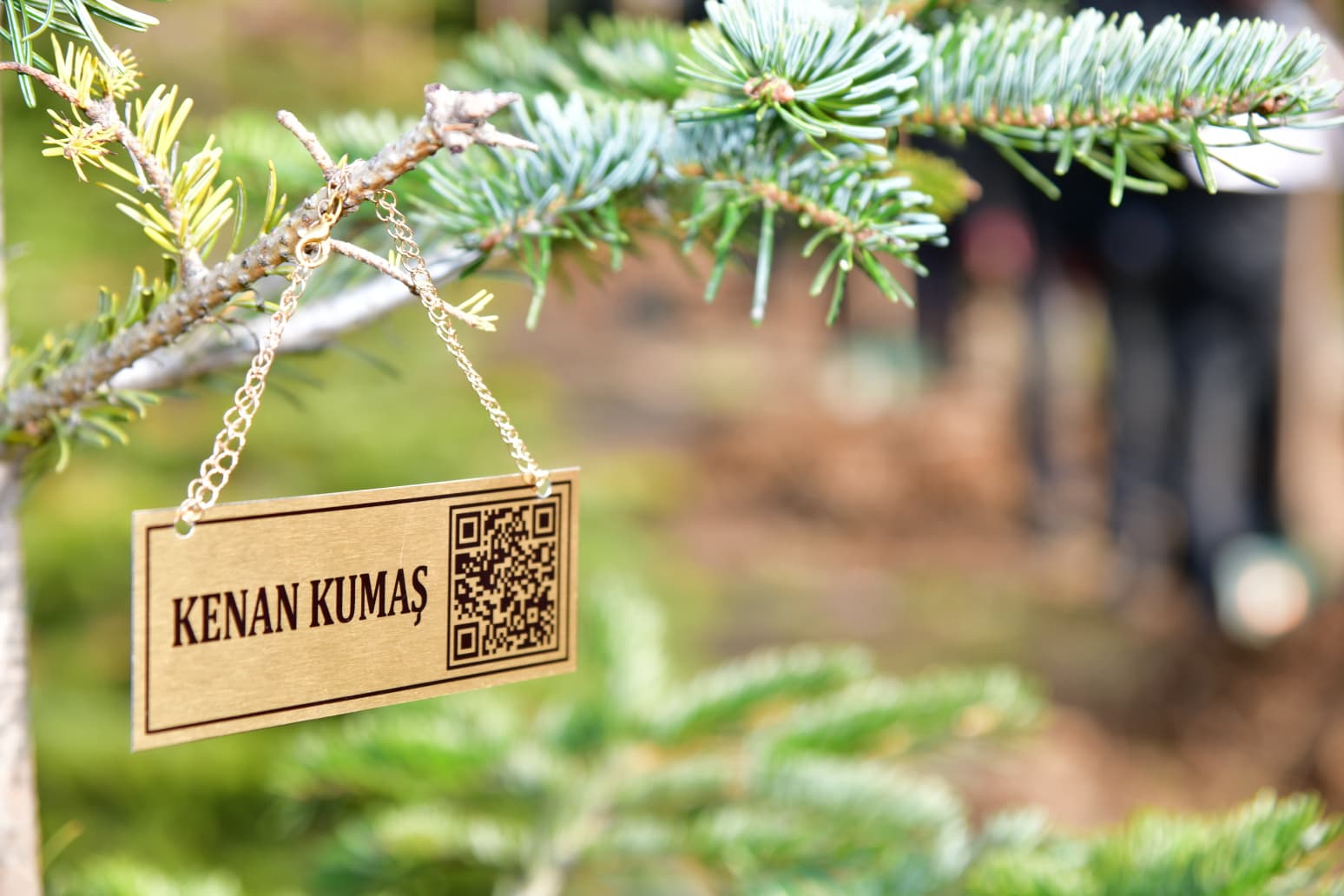 205C7148 Cd34 46F8 9067 B75Af05424Aa