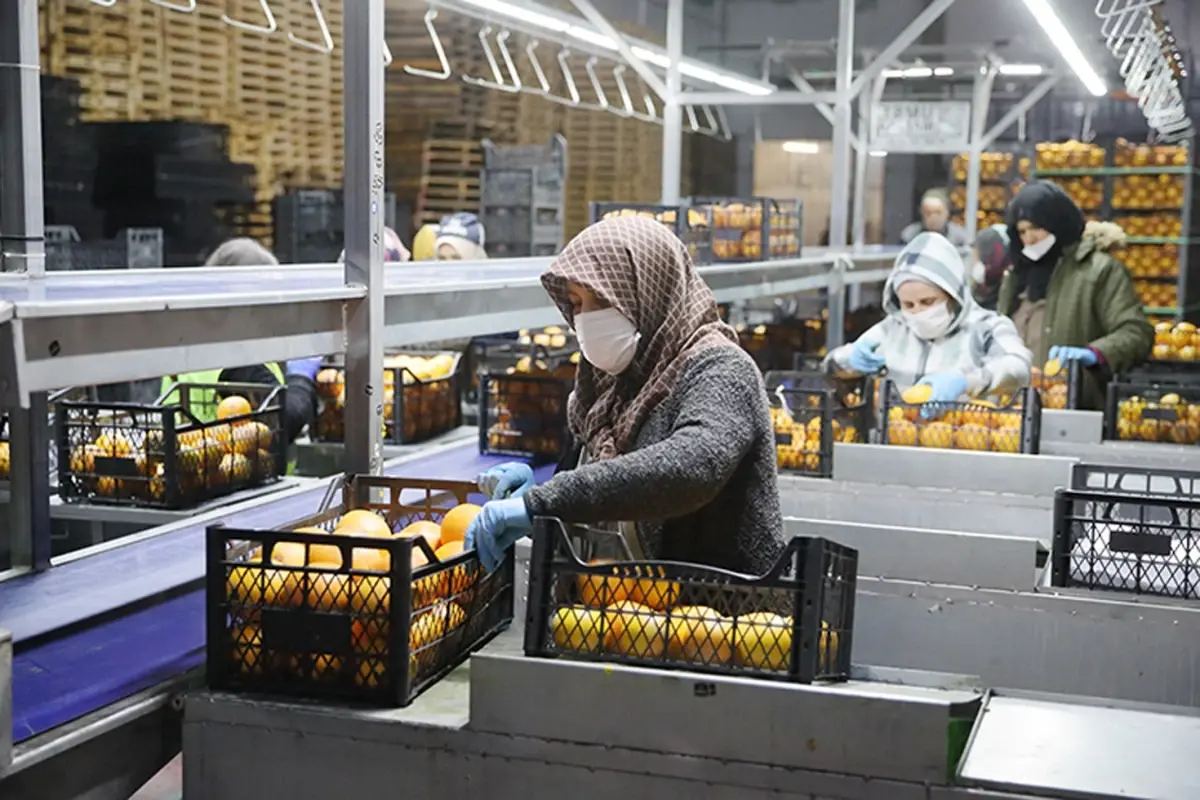 25 Ulkeye Ihracat Yapiyordu Turkiye Nin Gida 19307155 2714 Amp