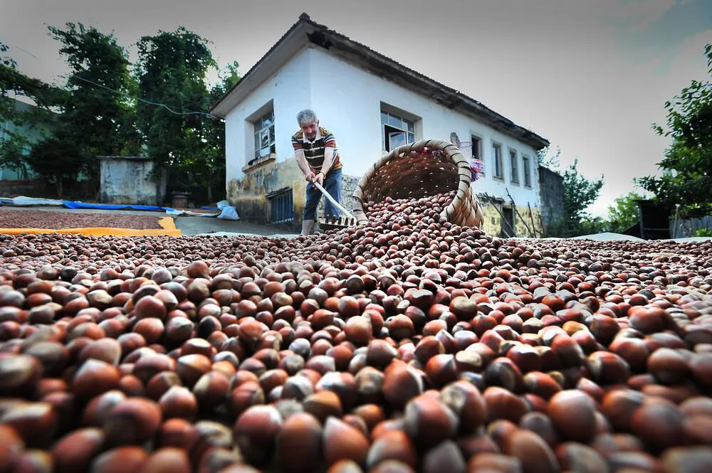 3 L U K I S K A C T A K I F I N D I K T A D U S U K R E K O L T E Y E 1010845 299830