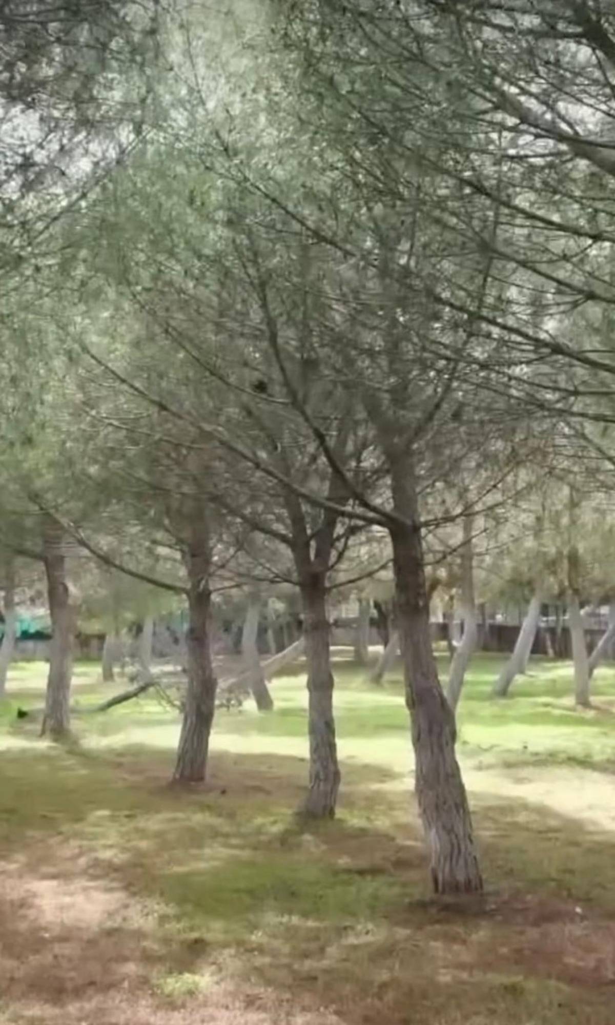 3837897 931Ea8Ff9D62Aa6Ddba583E2 69184B02121D6