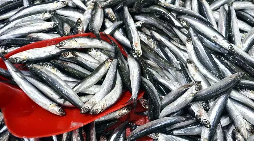 614C718386B2471C8Cc6C834