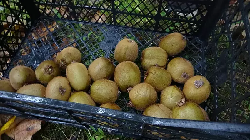 6919973E2D492Cf8106447E8