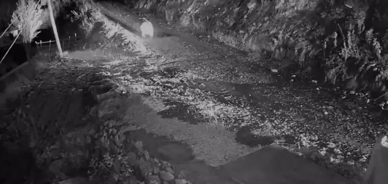 691C158339465790Ca54B232