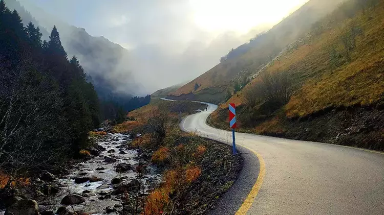 69215B76A054E9E8B204E603