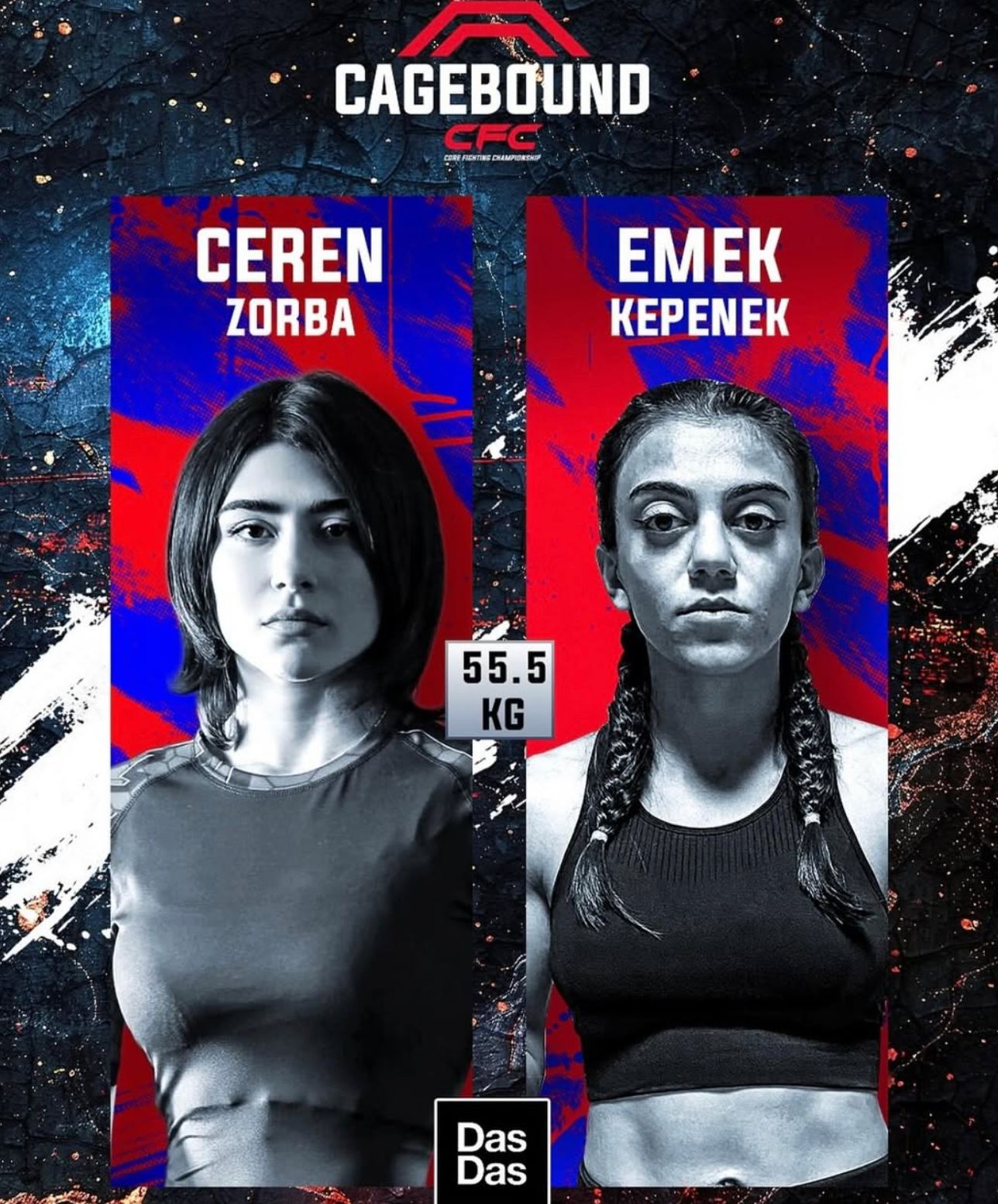 6C6368Df 5593 4353 A4Ad 6Af85E721Dee