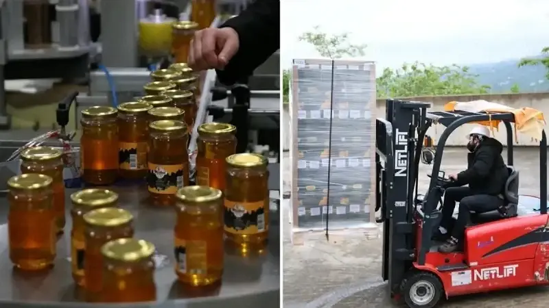 893C3E76 845Jw2U4F8Nn3Ch0Bona9