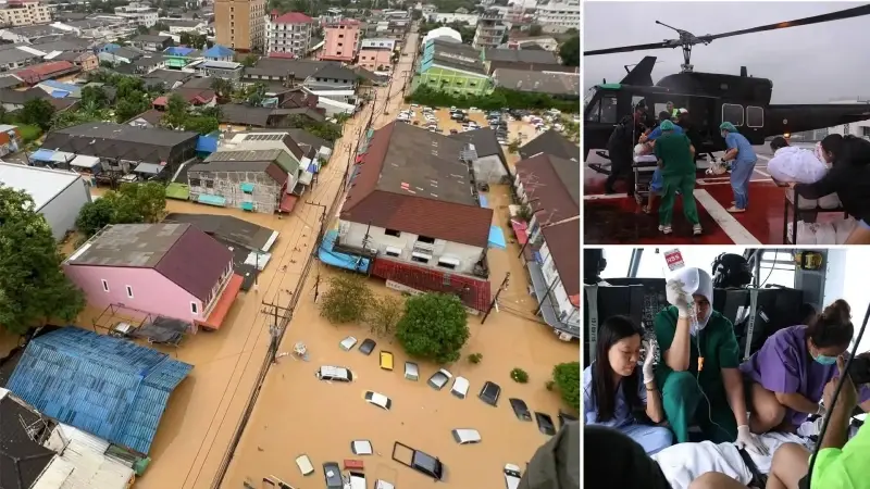 8E4D0274 Y4Yc8P1Udtvowvcc516K