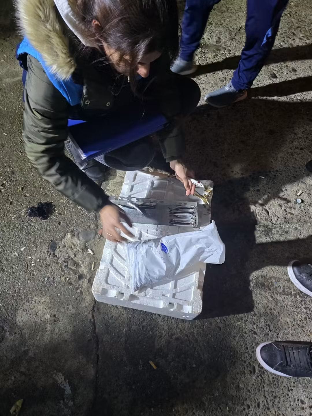 A296D81F 9Aad 4Faf 9800 C6Ccc68F2Ed9