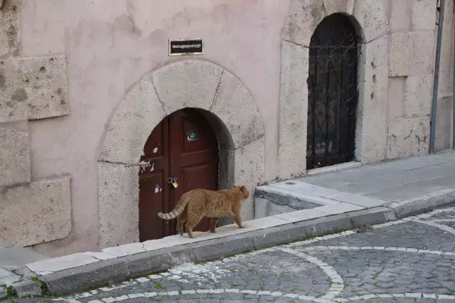 Amasya Da 9 Turbeye Kilit 19306168 5798 M