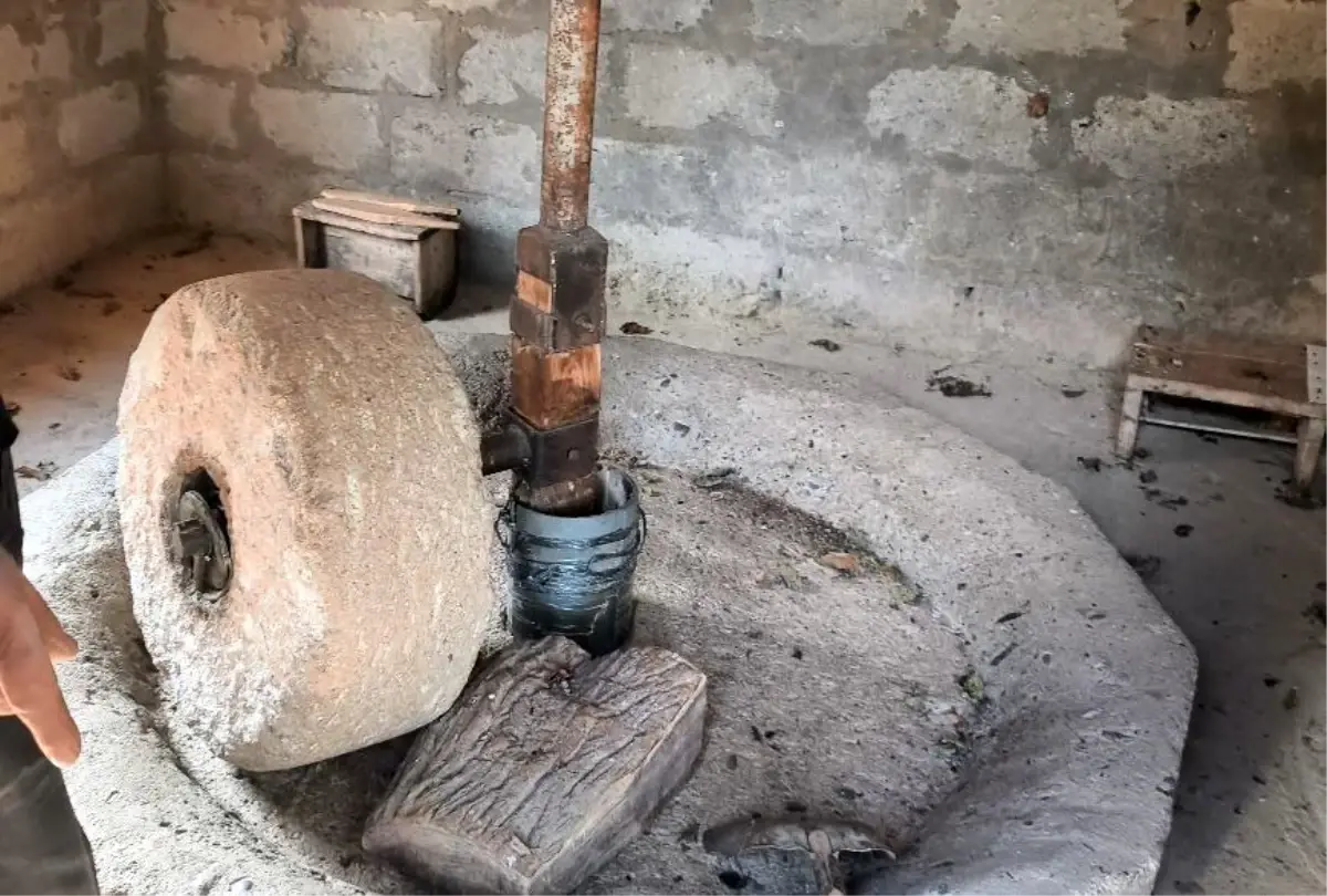 Ardanuc Ta 80 Yillik Degirmen Geleneksel 19293106 Amp