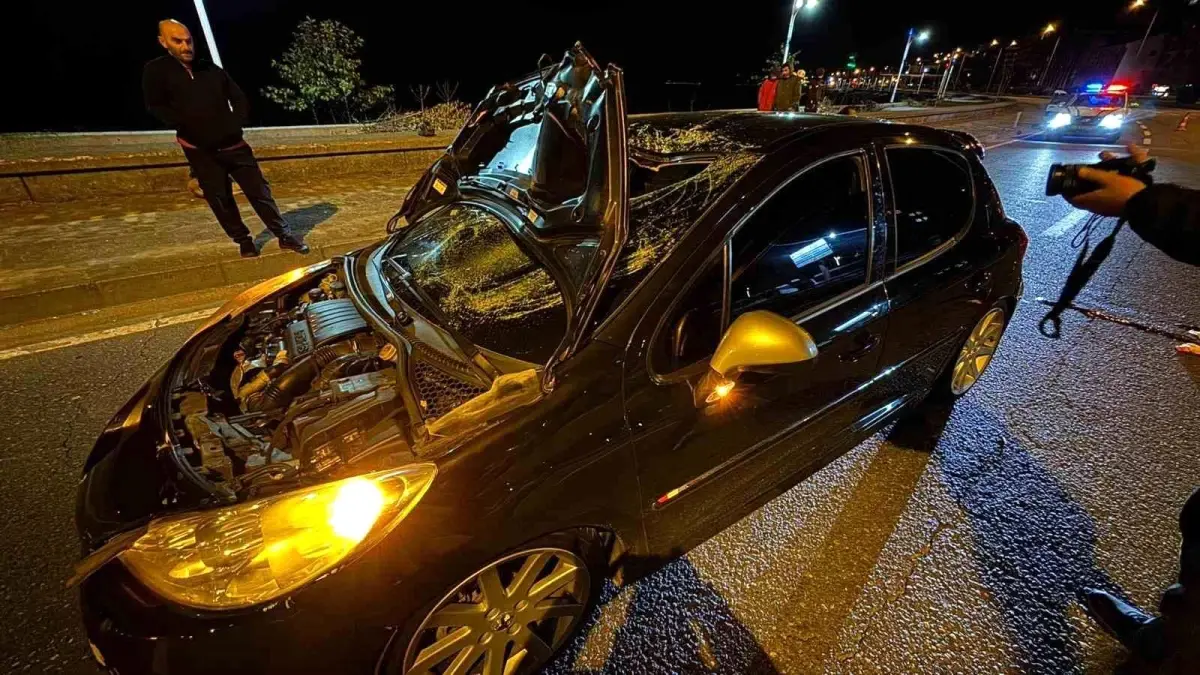 Arkadaslarinin Hali Saha Futbol Macini Izleme 19300734 Amp