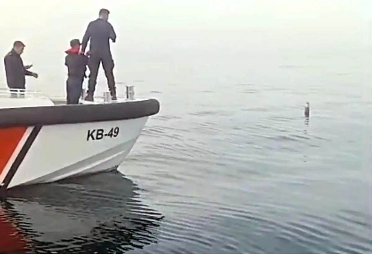 Artvin In Hopa Ilcesi Aciklarinda Denizde Rok 19294420 Amp